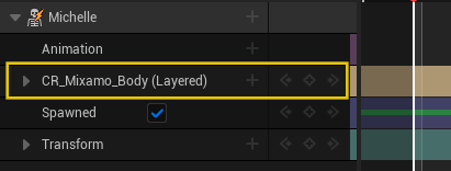 ue5-mixamo:cr-anim-layered-track.png